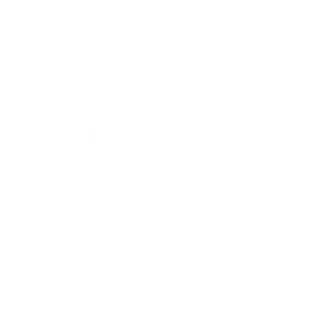 toyota-logo.webp